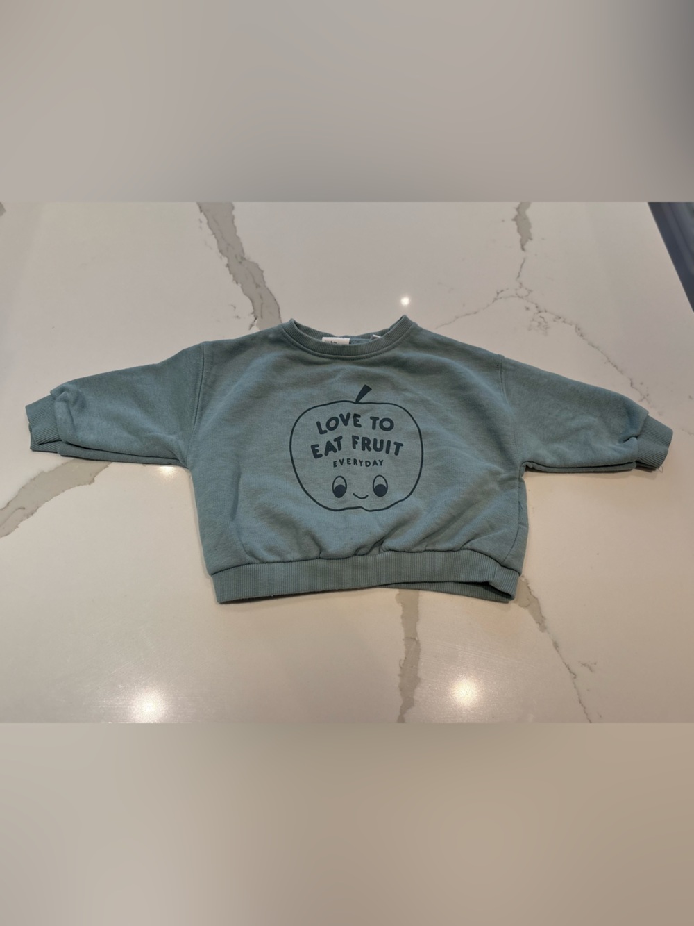 Zara Baby 'Love to Eat Fruit Everyday' Sweatshirt Apple Size 9-12 Months Blue
